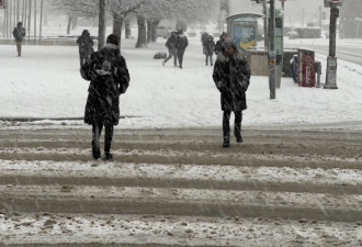 20cm暴雪+极寒! "极地涡旋"横扫加拿大: 今年12月比往年更冷