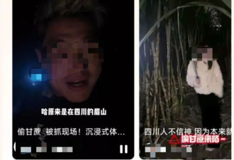 9.9元“偷甘蔗”爆火，人流量暴涨，老板亏出血