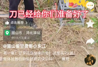 9.9元“偷甘蔗”爆火，人流量暴涨，老板亏出血