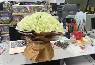 35岁失去高薪，我在14个月后重启生活