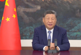 习近平：确保加沙全面持久停火 尽快改善人道局势