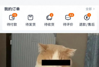 人生建议：千万不要相信睡前的大脑