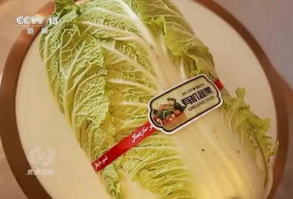 155元一棵白菜？起底“套牌白菜”的套路