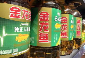 单季净利翻倍难敌18亿判罚冲击，金龙鱼蒸发百亿