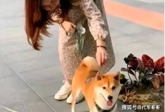 香港37岁殉职消防员生活照曝光 引无数网友泪目