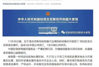 震惊！无人机炸弹精准击中中企营地 3死1伤