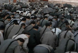 野史大瓜背后，被忽略的服从性测试