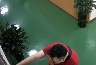 龙港一社区多名干部被指用人脸面具“刷脸”打卡