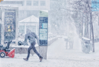 70cm暴雪+极地漩涡! 安省多地被"雪埋"! 多伦多明天急降-12℃