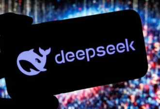 DeepSeek上新，“奥数金牌水平”....