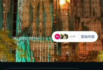 甄子丹妻称香港大火“是中国防护网引起” 惹网民痛斥