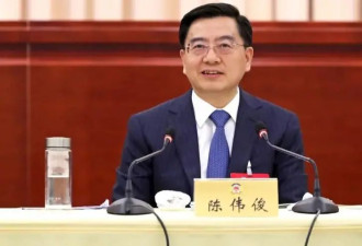新疆维吾尔自治区政府常务副主席陈伟俊被查