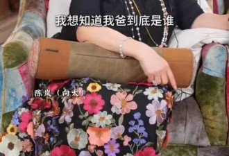 向太陈岚:我想知道我爸到底是谁,叫什么名字,到底我应该姓什么