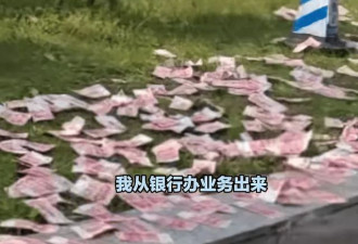 男子摊开大量现金在绿化带晾晒!目击者称"估计有10万元"