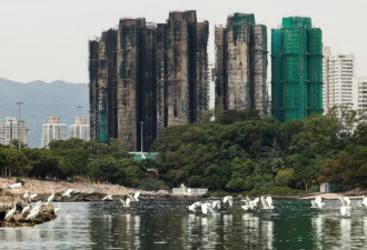 香港大火前频繁现消防隐患 官方称防护网"风险低"