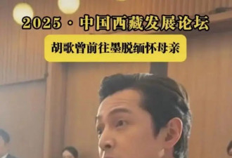 胡歌自曝：母亲去世六年，我解脱了！