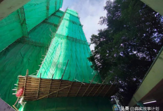 住在香港大火楼群里的中低收入者们