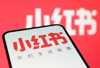 曝中国小红书使用辉达先进芯片