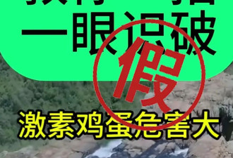 大量“激素蛋”又流入市场，长期吃致癌？记者调查真相→