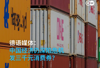 德语媒体：中国经济仍深陷危机