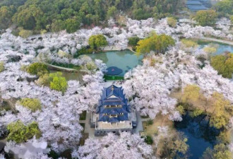 江苏臭名昭著的4所大学，连人民日报都点名
