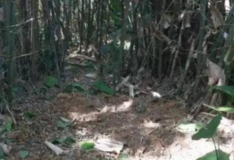 大叔挖蚯蚓 竟掘出30公斤千年前“精美大宝贝”