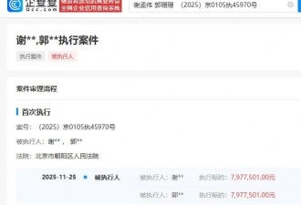 “嘎子”谢孟伟夫妇再被执行797万 此前被执行超1400万