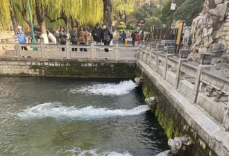 50岁中女们的聚会：留学的孩子给中产夫妻的婚姻续了命
