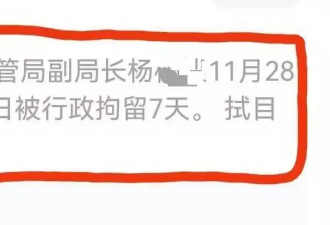 城管副局长酒后袭警被拘？单位人员：他请假了