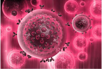 全球第七例！男子接受这手术成功摆脱 HIV