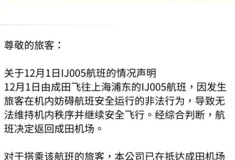 东京飞上海航班紧急返航 发生"妨碍安全非法行为"