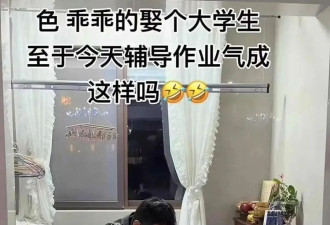 “娇妻小二本”是今年最厌女的网梗