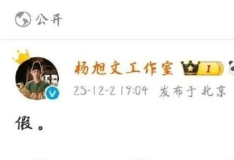 杨旭文与奥运冠军陈若琳订婚？他工作室回应——假