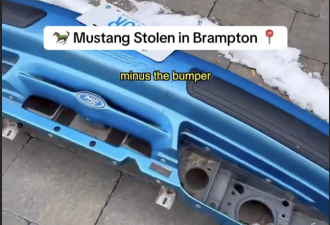 一觉醒来天塌了！Brampton屋主为爱车上锁防盗 结果只剩下这个