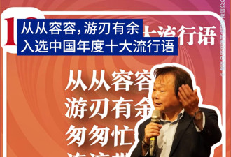 “从从容容，游刃有余”入选中国年度十大流行语