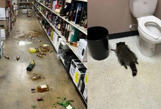 卖酒商店遭洗劫 警到现场傻眼 盗贼喝醉了竟是…