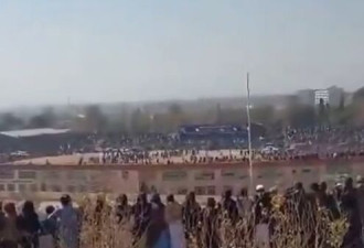 全家13口被杀 13岁少年亲自枪决凶手 8万人围观
