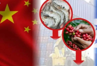 中国外交部刚表态就被打脸：瞎扯…