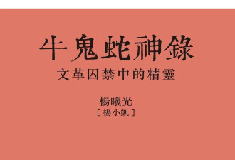 《牛鬼蛇神录》： 一部血泪交织的政治教科书