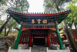 是什么吸引这位总统，“每年都想来中国”