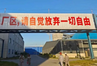 自觉放弃一切自由，可怕的是“自觉”二字