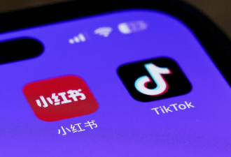 网络诈骗横行 台湾暂停用户浏览中国“小红书”