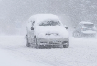 50cm暴雪! 安省狂发38条天气警报! 大多伦多70km狂风+体感-19°C