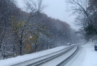 50cm暴雪! 安省狂发38条天气警报! 大多伦多70km狂风+体感-19°C