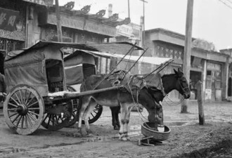 1949年,主席问大清官员,见过几次慈禧,回答绝了