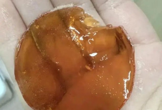 蒸苹果出果冻别慌 不是坏果是宝藏