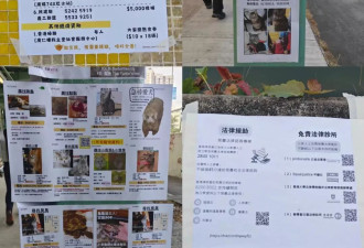 大埔火灾：悼念，是我们需要学习的本能