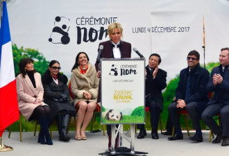访华结束前把熊猫弄到手 马克龙:此行只有一个遗憾