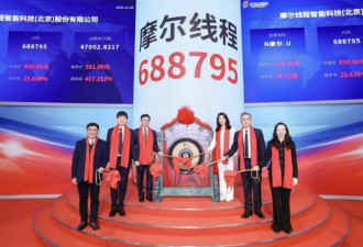 “中国版Nvidia”暴涨425%