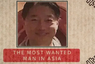 中国移民年入$180亿！真实身份可怕，8保镖跟随